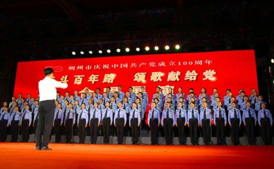 梅狸猫是什么意思